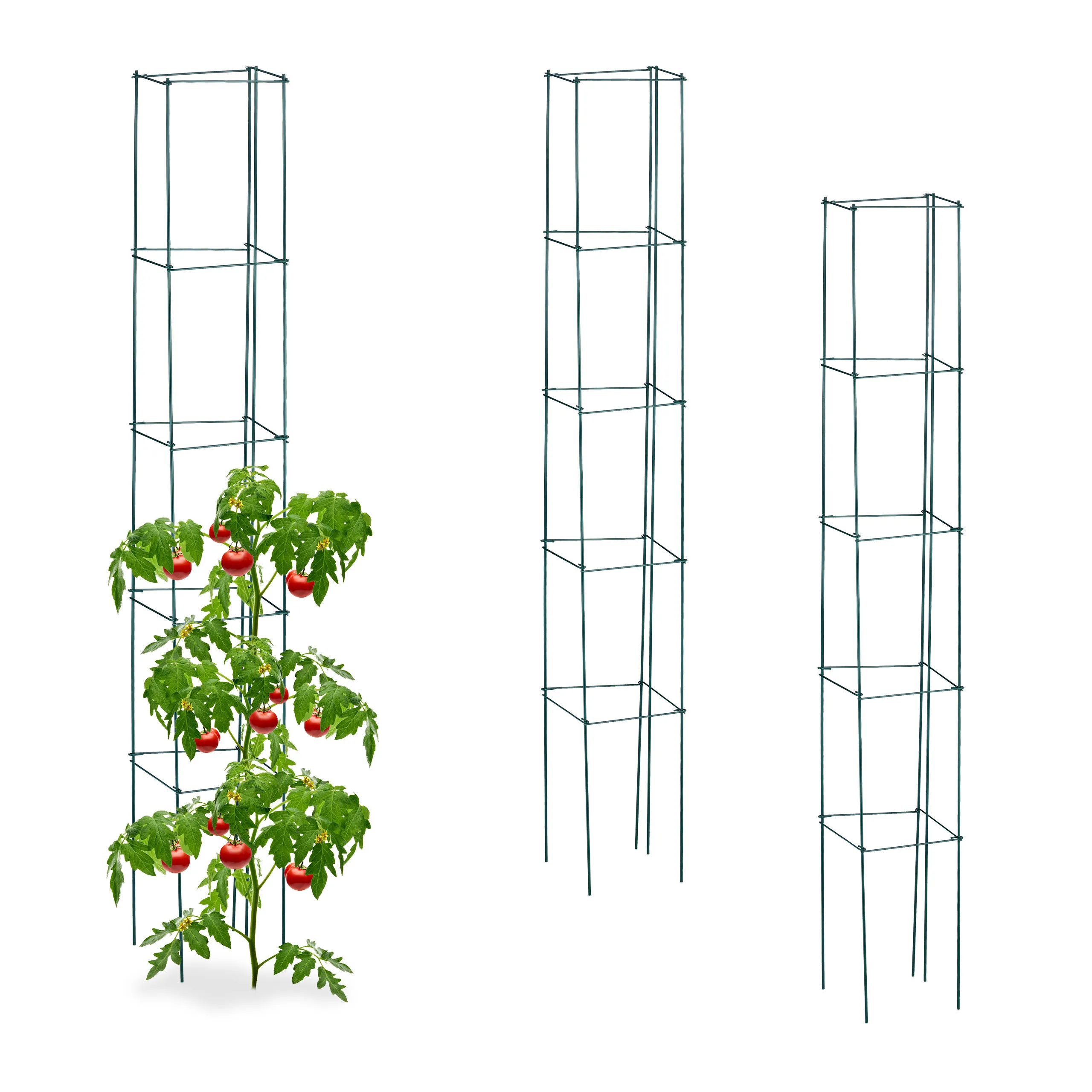 Rankhilfe 3er Set 150 cm