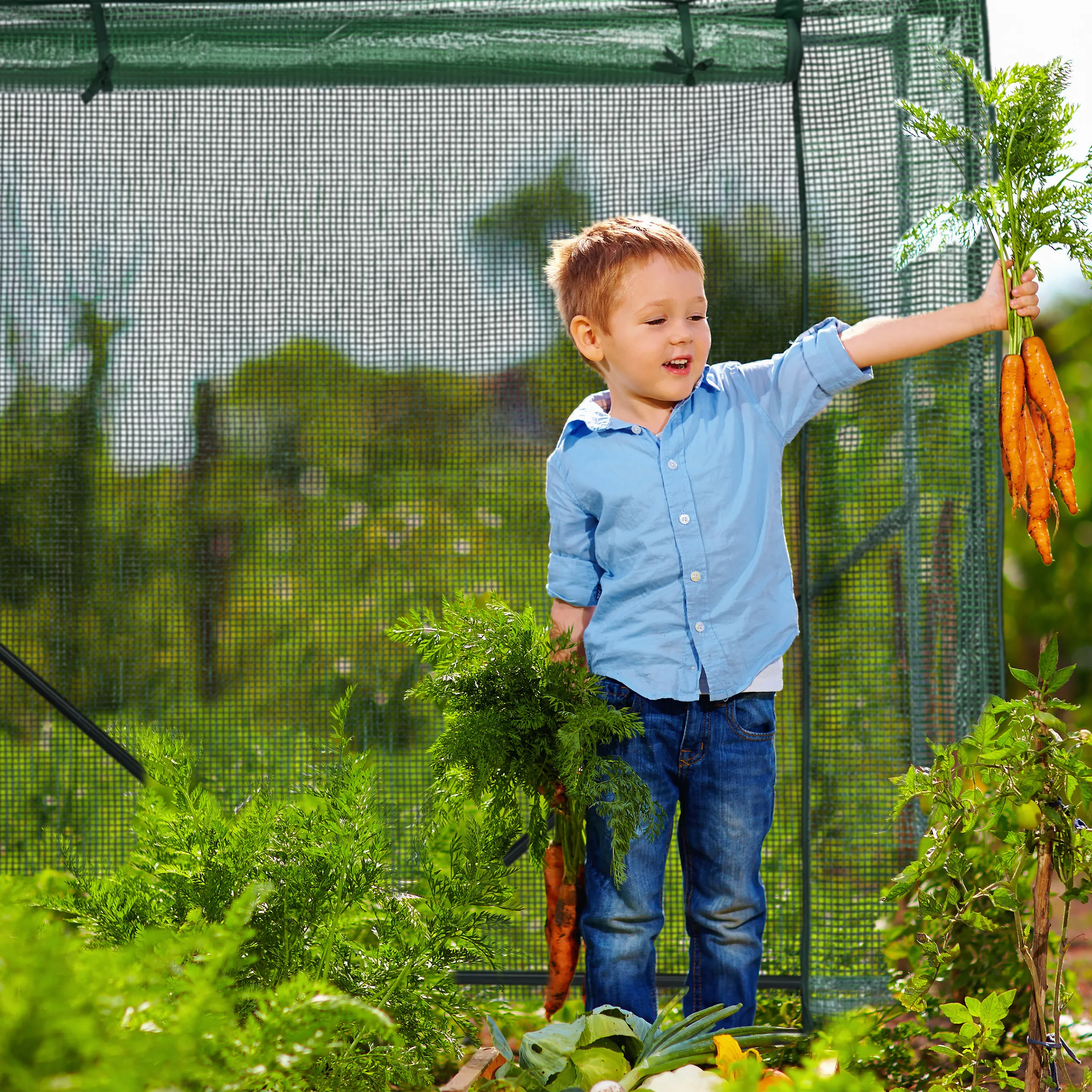 Tomaten Gewächshaus mit PE-Folie