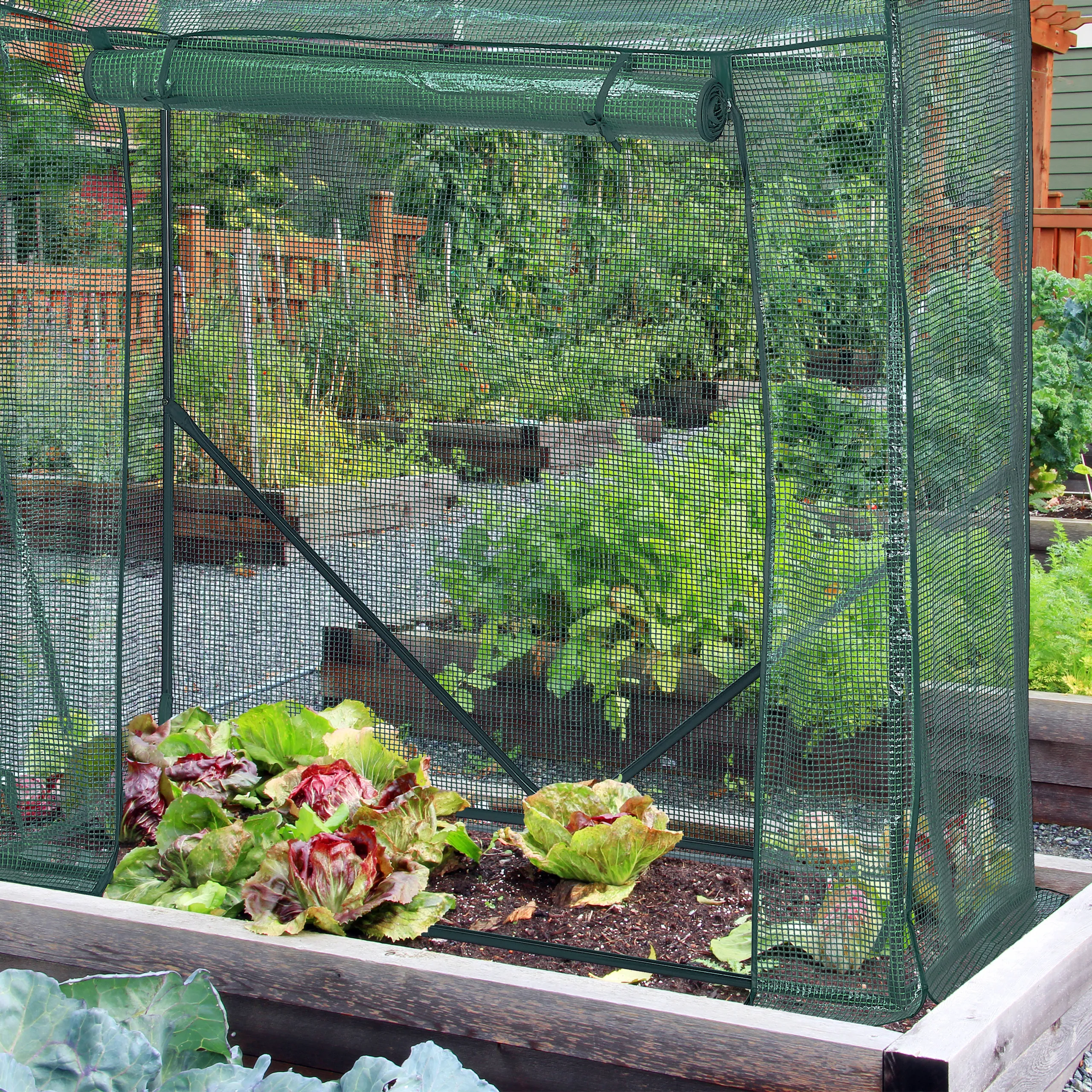 Tomaten Gewächshaus mit PE-Folie